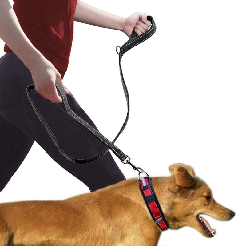 Dubbelt handtag hundkoppel