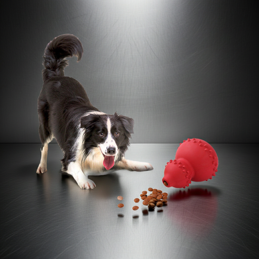 Hundleksak med godisautomat