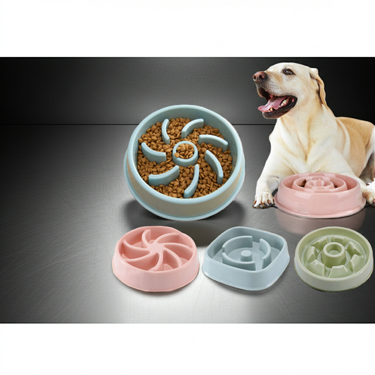 Ät långsamt skål för hund